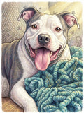 Whimsical Pet Portrait
