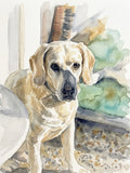 Watercolor Pet Portrait